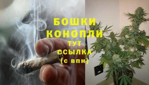 дурь Дмитров